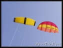 cerf-volant