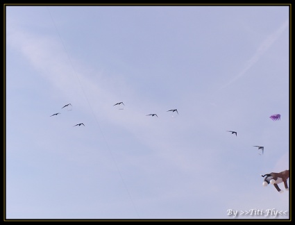 photo-ricv-berck-2005-033
